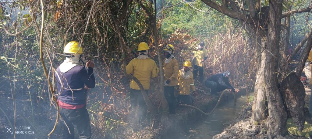 Incendio en la Vía Parque Isla de Salamanca ya afecta 30 hectáreas y podría extenderse hasta 100, alertó Parques Nacionales. /Parques Nacionales Naturales