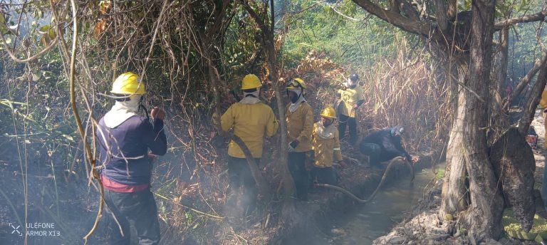 Nuevo incendio en Isla de Salamanca, área protegida de Magdalena, completa 24 horas
