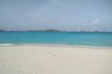 Buenas noticias: rescatan 117 huevos de tortugas marinas en San Andrés