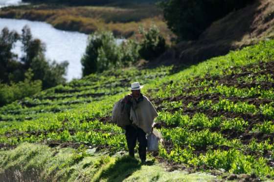El proyecto le exigiría al Consejo Superior de la Judicatura realizar un estudio de litigiosidad sobre disputas agrarias y de propiedad rural para que, a partir de él, el Estado cree y asigne los jueces y conciliadores especializados para que apliquen el derecho agrario y rural. /Santiago La Rotta