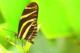 Un viaje por la biodiversidad