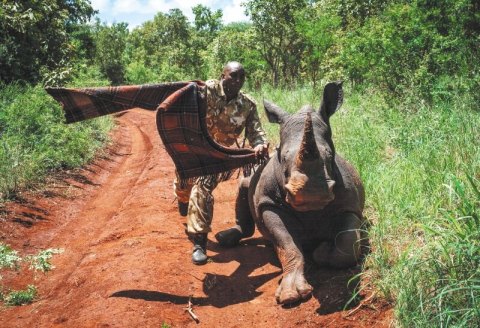 Las polémicas prácticas de WWF en África y Asia