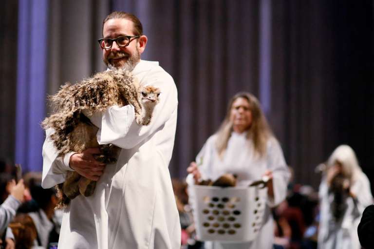 Mascota camino a recibir la bendición en Nueva York.