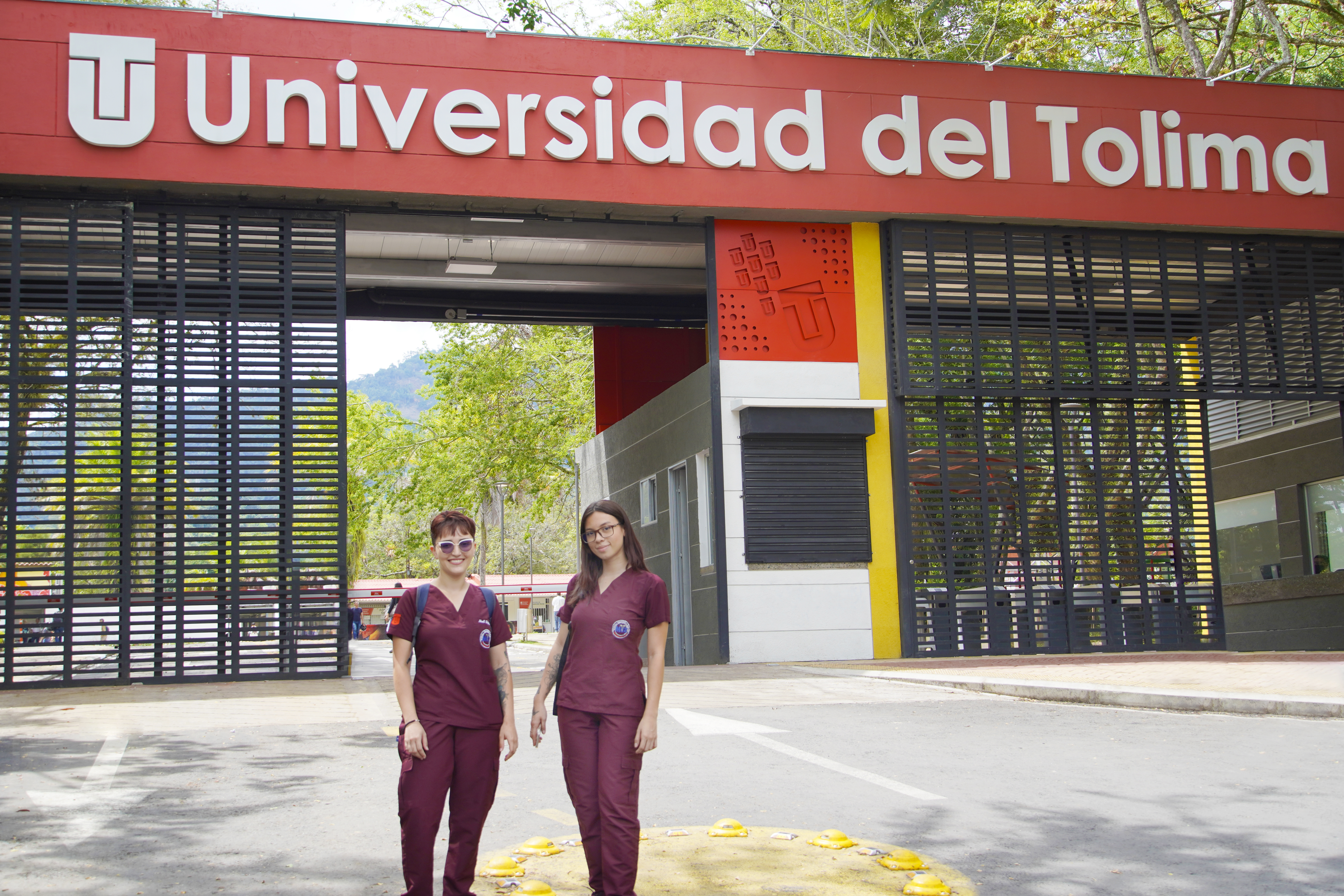 Ya puede inscribirse para estudiar gratis en la Universidad del Tolima