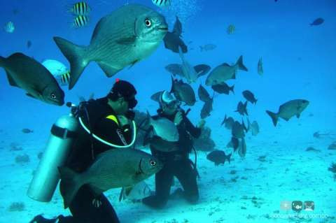 Buceo y pesca en San Andrés, restringidos por daño en tubería submarina