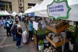 ¡Compre local este domingo en Bogotá!: programación de mercados campesinos