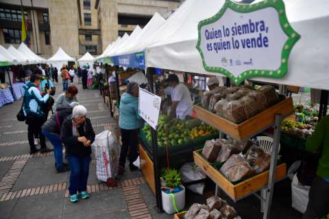 ¡Compre local este domingo en Bogotá!: programación de mercados campesinos