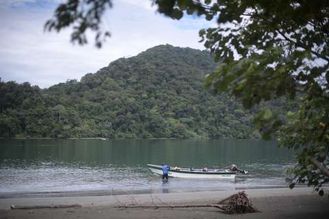 Abren convocatoria de becas para tesis sobre biodiversidad de Colombia