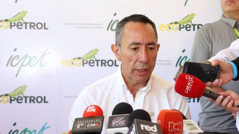 Ecopetrol ha recibido ocho ofertas para importar gas: Ricardo Roa