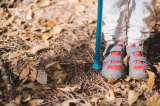 Viaje a España esta temporada: siete rutas para disfrutar de la naturaleza