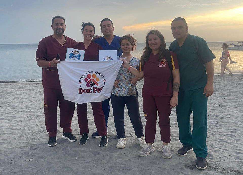 Estos veterinarios están esterilizando animales en todo Colombia: así puede ayudar