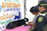Autoridades capturaron a hombre que hirió a perrita con un cuchillo en Barranquilla
