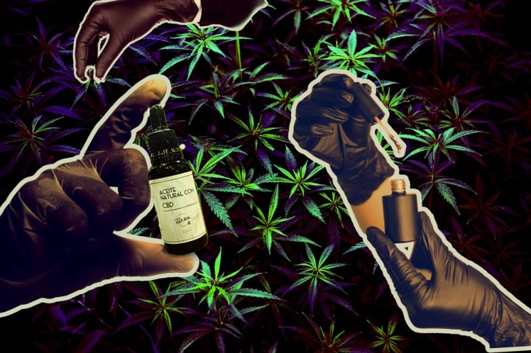 Cannabis medicinal: industria estancada en Bogotá, que pide nuevas reglas de juego