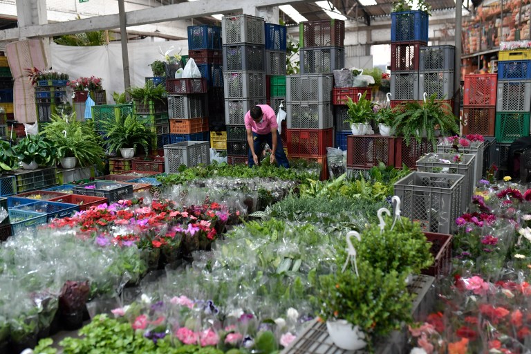 Esta extensa oferta relacionada con la jardinería y el cultivo de plantas lo convierte en un atractivo tanto para los lugareños como para los visitantes y turistas interesados en esta actividad.