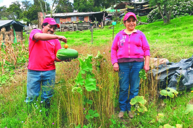 Cómo impulsar agricultura sostenible desde la banca