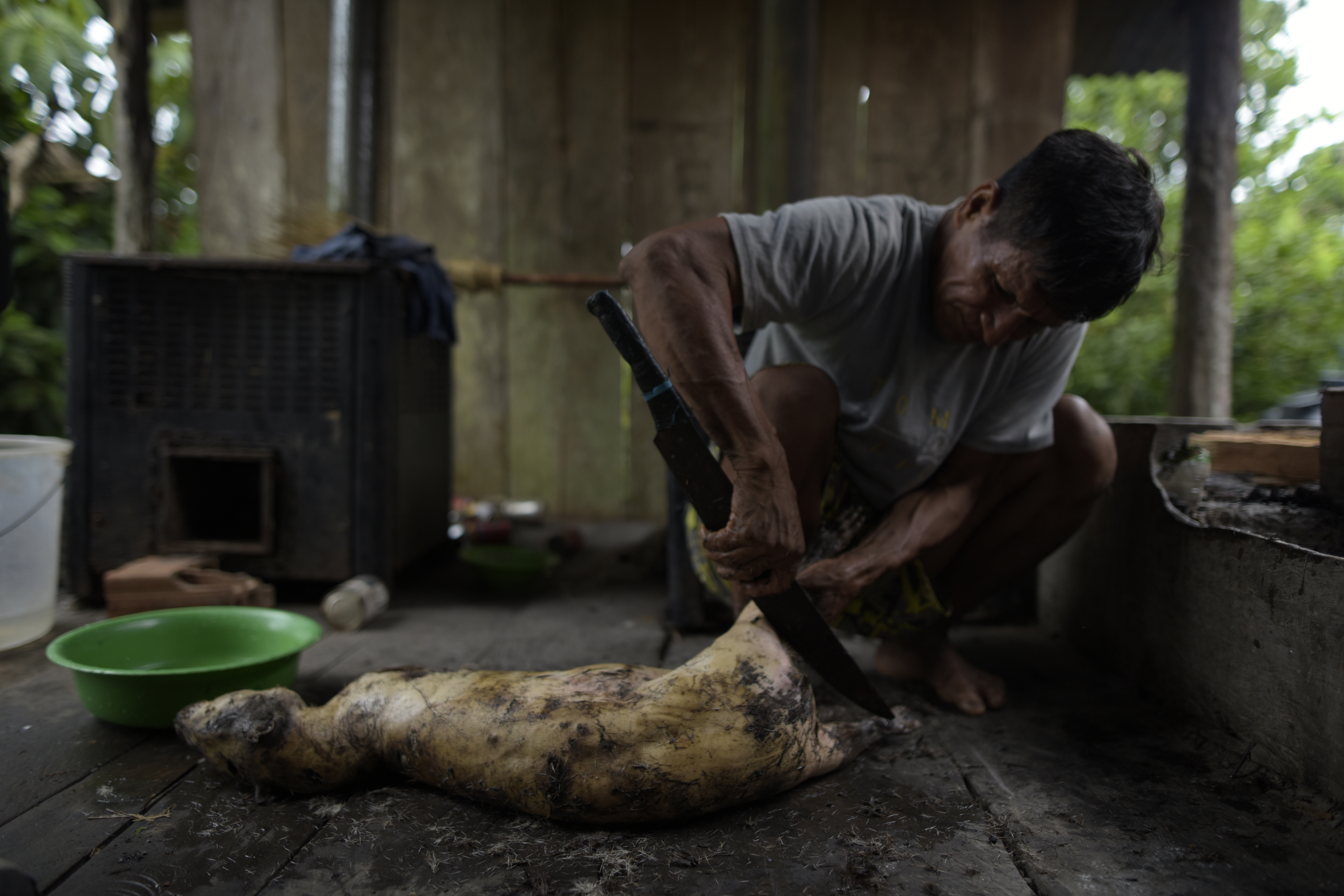 Alimento tradicional amazónico