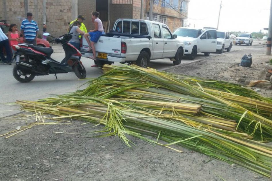 Secretaría de Ambiente de Bogotá / Secretaría de Ambiente de Bogotá