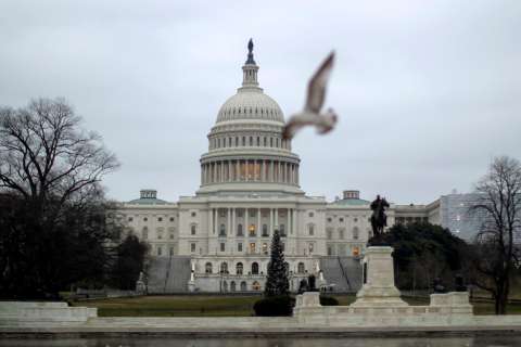 Hoy asume el nuevo Congreso de EE.UU. que buscará hacer contrapeso a Trump