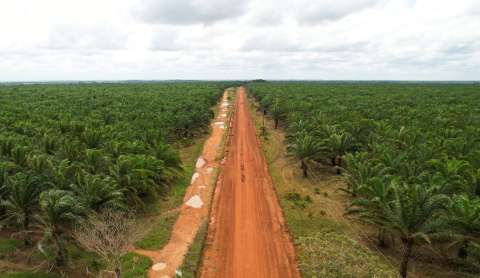 Unas 30 empresas extranjeras son dueñas de más  de un millón de hectáreas cultivables