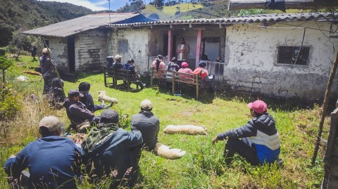Opinión | La conservación y la paz no se compran, se acuerdan