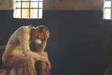 “Papillon”: sobrevivir a lo inhumano