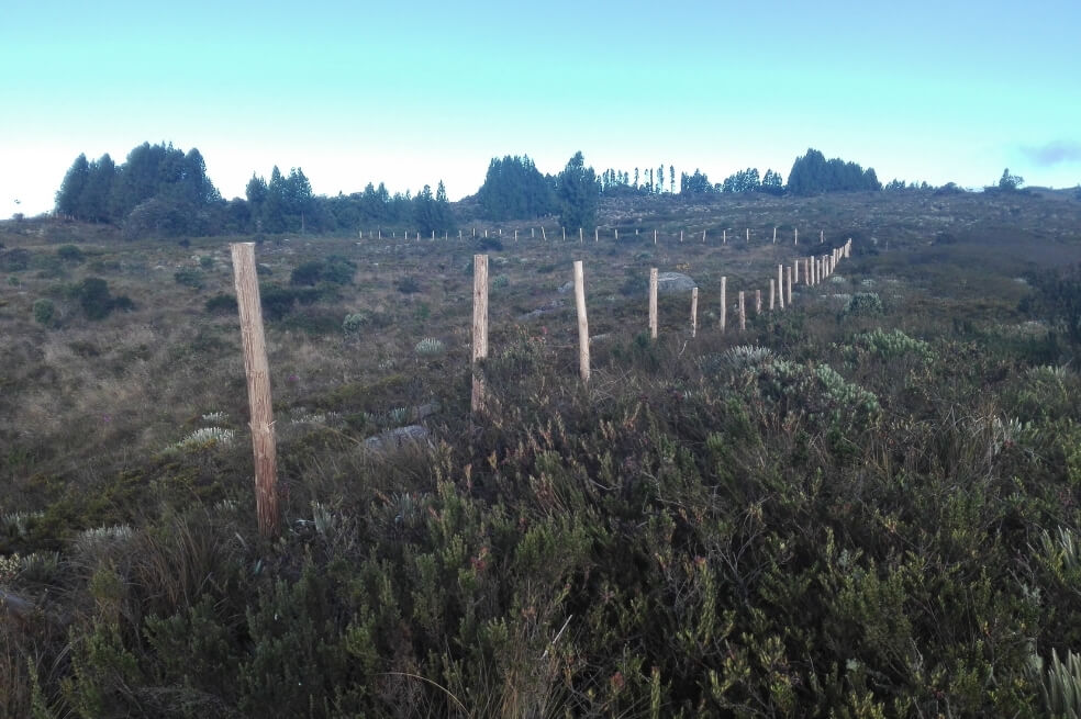 El vehículo estaba a cargo de un contratista de la Gobernación de Boyacá, que iba a ingresar postes para cerrar los predios de Piedra Herrada, Yadira y Peñita, ubicados en la vereda Monte de Luz.
/ CAR Cundinamarca