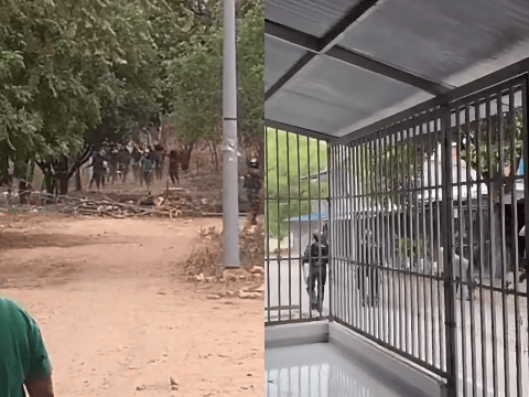 Más de 300 personas intentaron volver a predios ocupados en Palermo, Huila