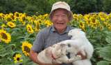 Abuelo japonés se hace viral por sesión de fotos con sus gatos que terminó en caos