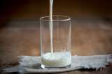 Ganaderos advierten: aumento del precio de la leche no cubre costos