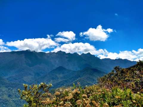 Jornadas artísticas se tomaron Pance para cuidar los Farallones de Cali