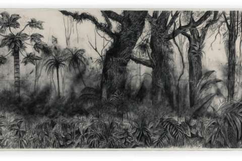 "Tierra de/por medio", la nueva exposición del Museo de Arte Miguel Urrutia