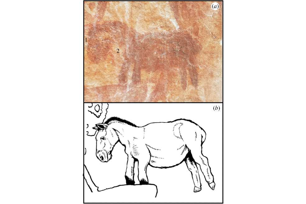 El caballo es una de las figuras esenciales en la discusión. Urbina lo atribuye a la época colonial, mientras que Iriarte a la Edad de Hielo.