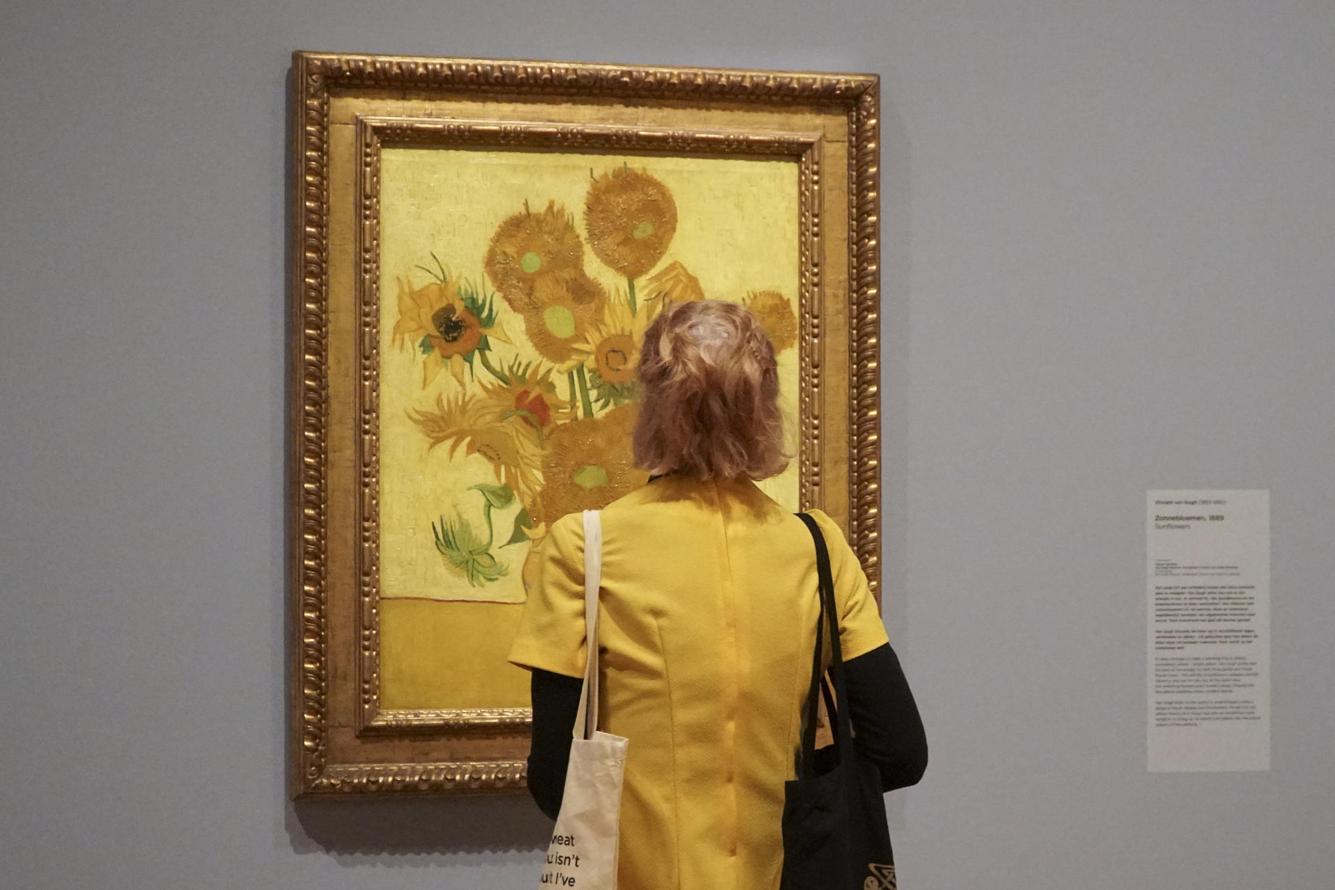 Una muestra en Ámsterdam toma como punto de partida los icónicos Girasoles (1889), pero amplía el foco para analizar cómo el amarillo se convirtió, en torno a 1900, en un lenguaje cargado de significados: modernidad, rebeldía, escándalo, espiritualidad y energía.
