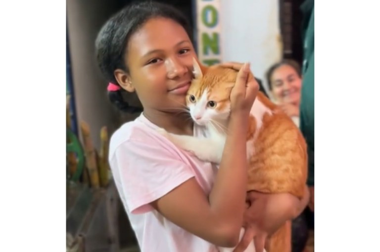 Emergencia en Medellín: niña prefirió salvar a su gato en lugar de su computador