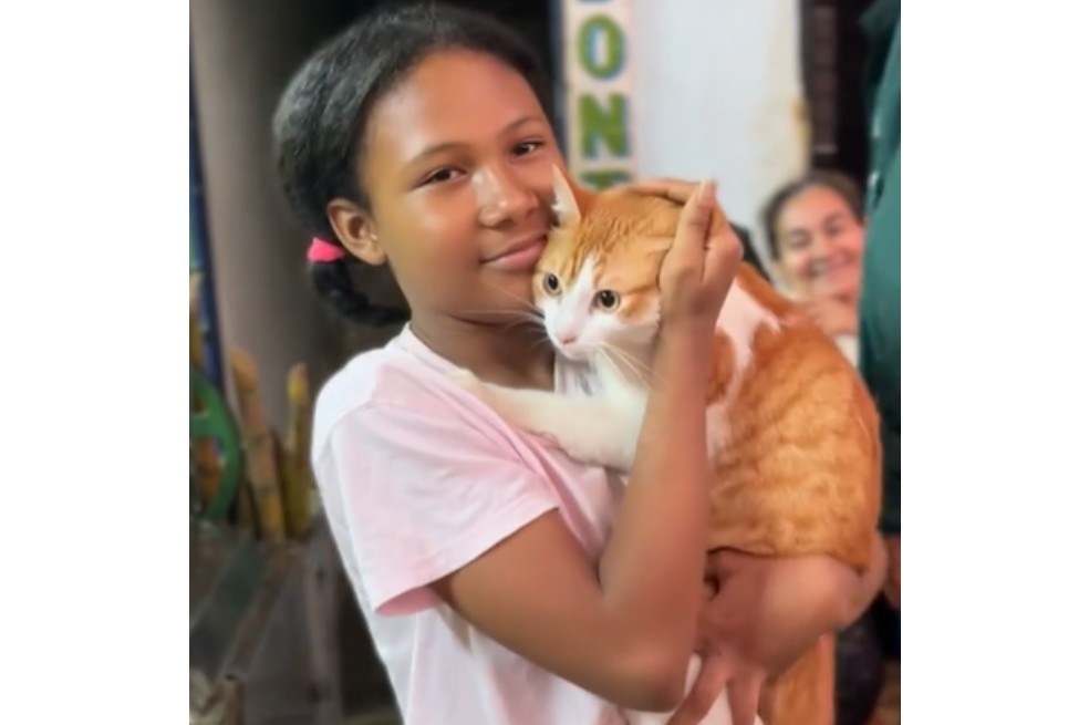 Emergencia en Medellín: niña prefirió salvar a su gato en lugar de su computador