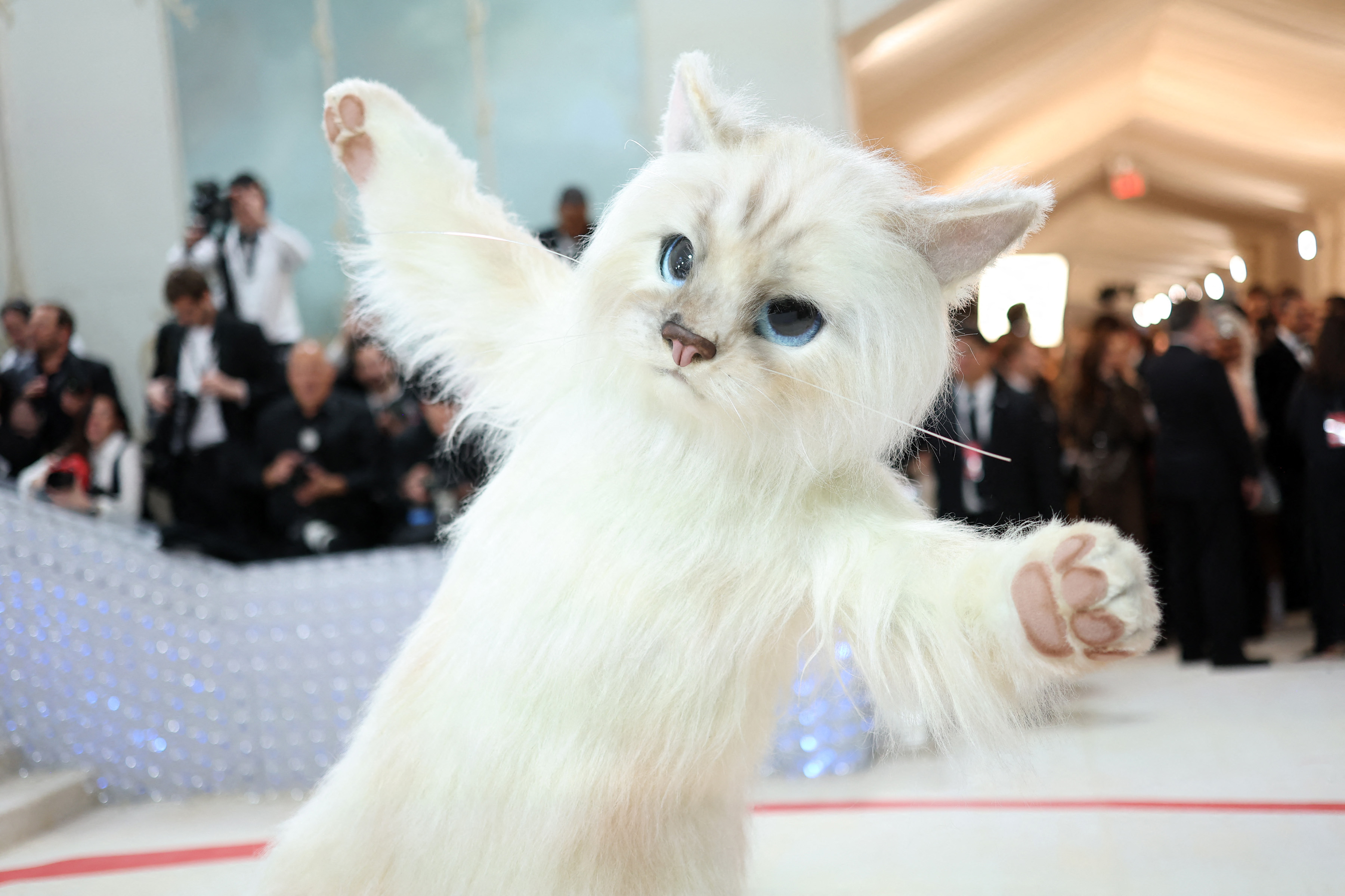 Met Gala 2023
