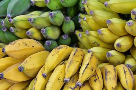 Recetas para disfrutar del delicioso e inigualable sabor del plátano maduro