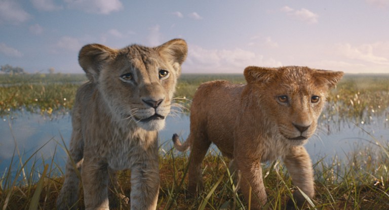 Mufasa: El Rey León llega a las salas de cine del país. Te invitamos a la premier