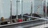 Barajas, aeropuerto de Madrid, desbordado por los solicitantes de asilo