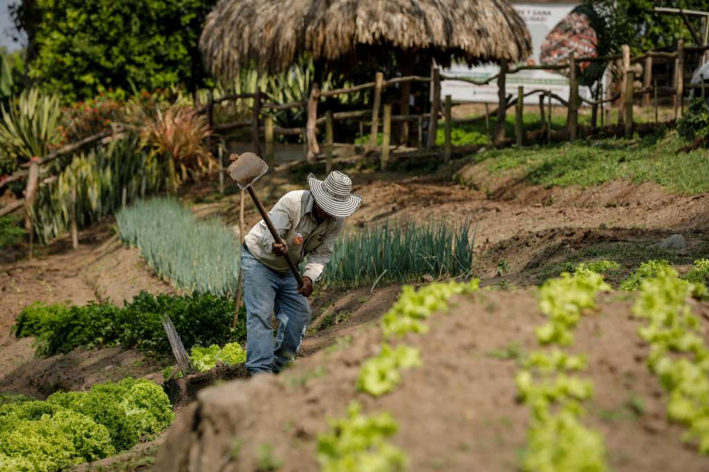 Son en total $5.340 millones para los habitantes de estas poblaciones que quieran crear empresa y generar empleo, dice el SENA.