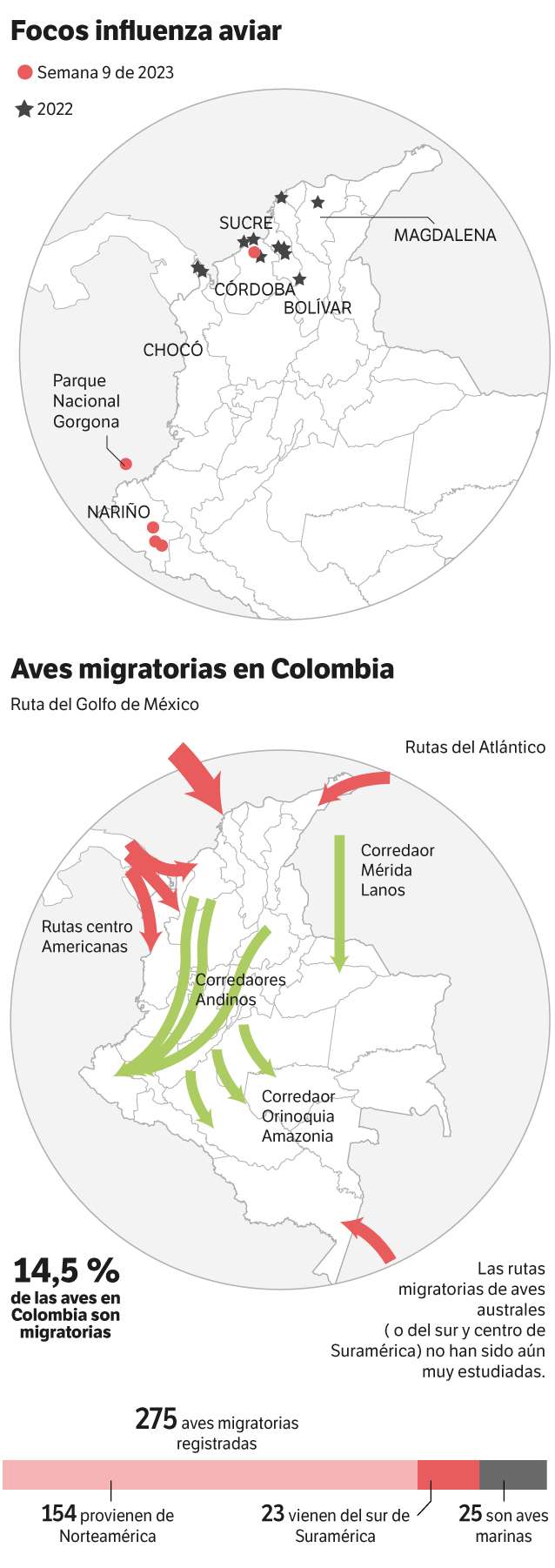 Los focos de gripe aviar en Colombia y los flujos migratorios de las aves en el país.