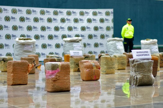 En cuatro operativos las autoridades lograron la incautación de 945 kilos de marihuana. 2.472 personas han sido capturadas este año por tráfico de estupefacientes
