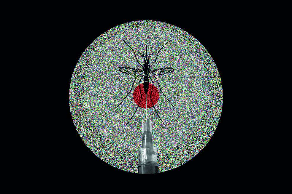 No más muertes por mosquitosUn experimento que busca acabar con la propagación del dengue llegará a su etapa final en 2020. Científicos habían liberado mosquitos infectados con la bacteria Wolbachia, que inhibe la propagación de virus transmitidos por los vectores, culpables de enfermedades como el dengue, el chikungunya y el sika.