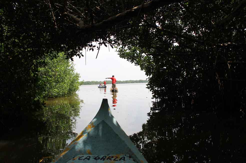 En la canoa La Garza comienza el recorrido por la Cueva del Manglar. / Cortesía Paola Manzi Comunicaciones