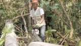Las familias del Bajo Cauca que logran vivir del bosque y contener su destrucción