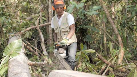 Las familias del Bajo Cauca que logran vivir del bosque y contener su destrucción