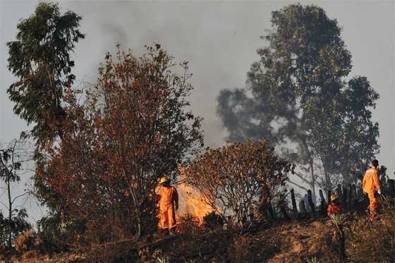 A 8.000 se eleva número de hectáreas arrasadas por incendios forestales en Tolima