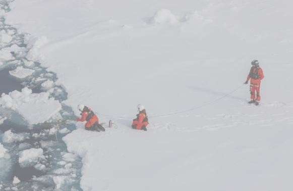 Científicos están investigando cuánto microplástico hay en los agregados del alga helada Melosira arctica y el agua de mar directamente junto a los témpanos de hielo.
