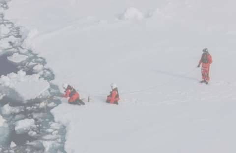 Algas del hielo marino del Ártico están muy contaminadas con microplásticos