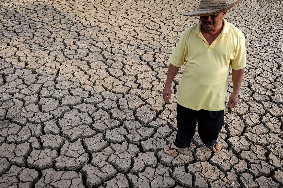 La Organización Meteorológica Mundial (OMM) explicó que las altas temperaturas no se registran solo en Europa, sino también en todo el mundo. / EFE